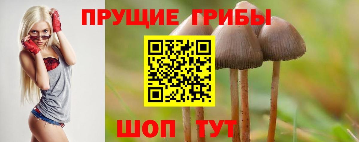Псилоцибиновые грибы Magic Shrooms  Вход с VPN  Псилоцибиновые грибы Psilocybine cubensis  Дзержинский 